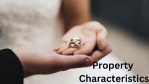 USA Comprehensive Guide for Property Insurance