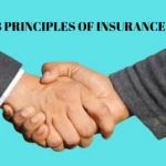 3 principles of insurance