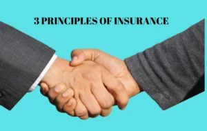 3 principles of insurance