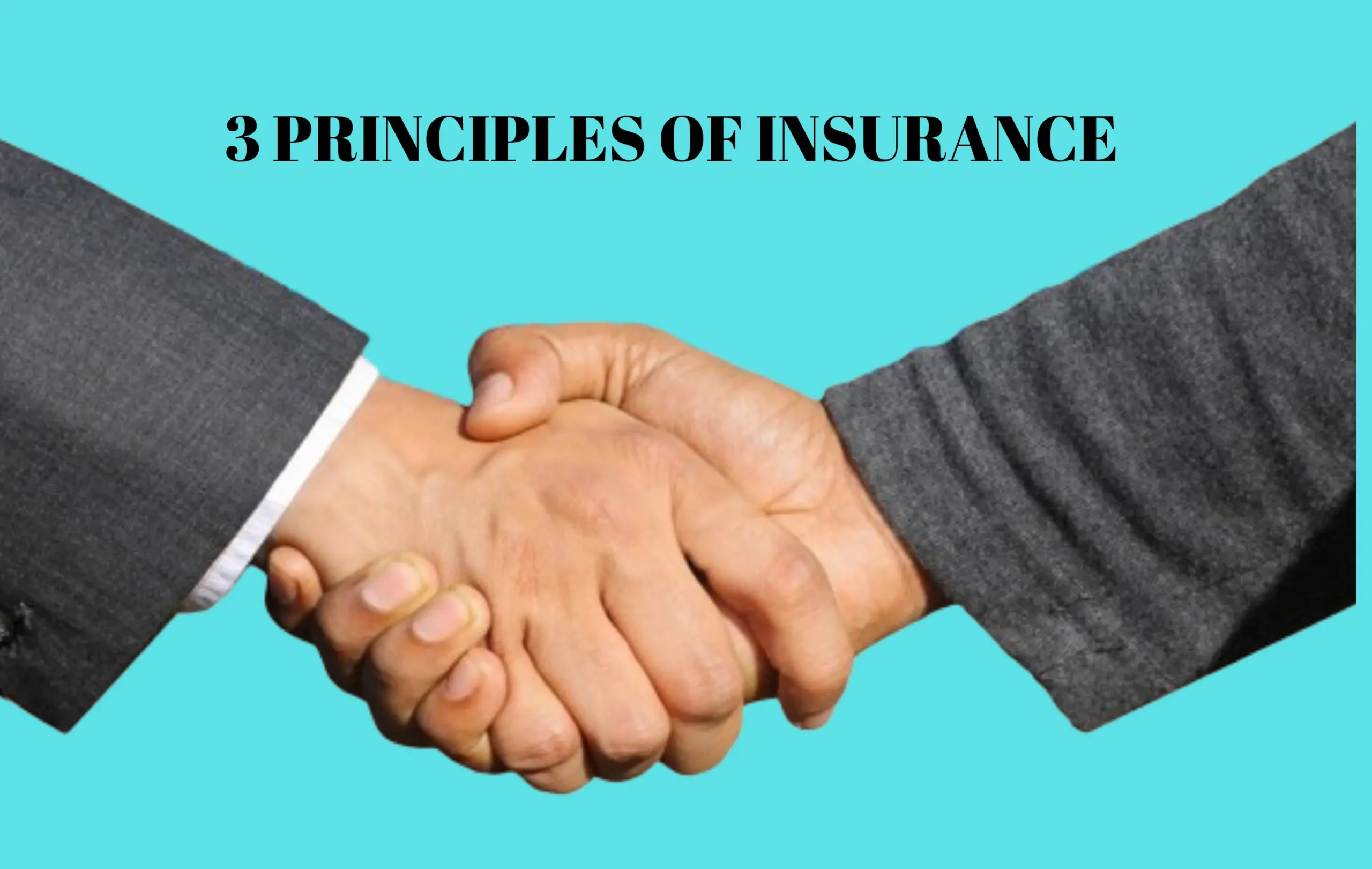 3 principles of insurance